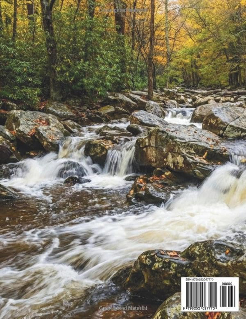 Great Smoky Mountains National Park Travel Guide 2026: Waterfalls, Wildlife & Appalachian Roads