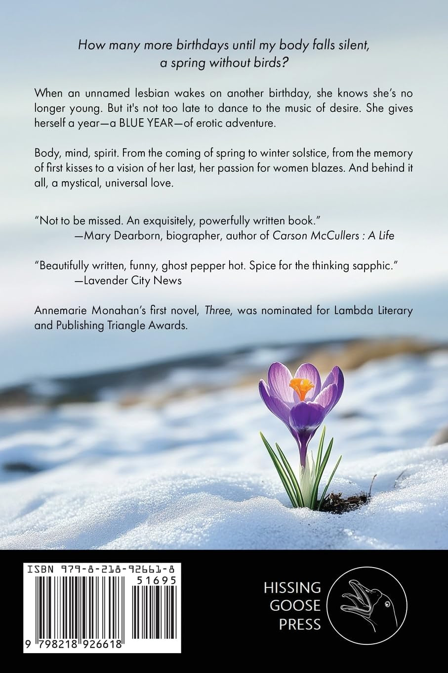 Blue Year: A Literary Lesbian Erotic Novel