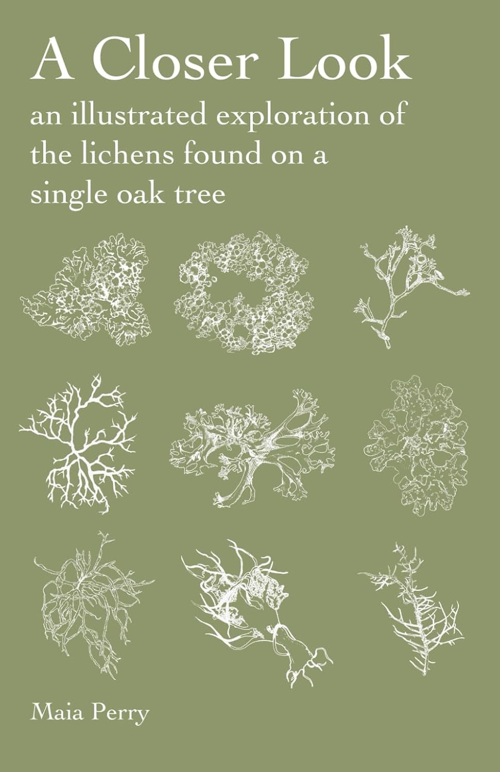 A Closer Look: An Illustrated Exploration of the Lichens Found on a Single Oak