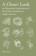 A Closer Look: An Illustrated Exploration of the Lichens Found on a Single Oak