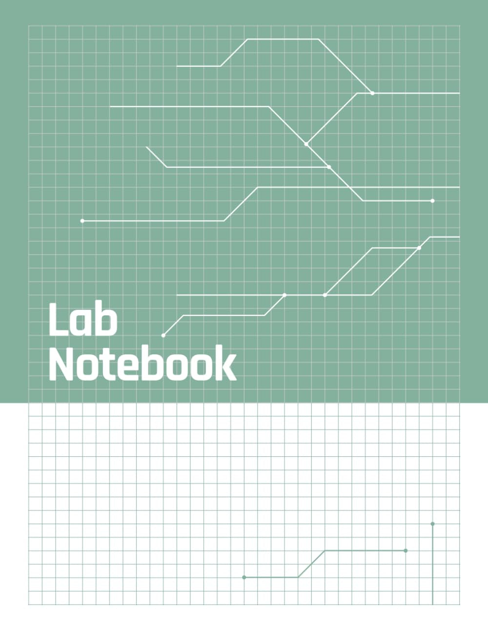 Lab Notebook