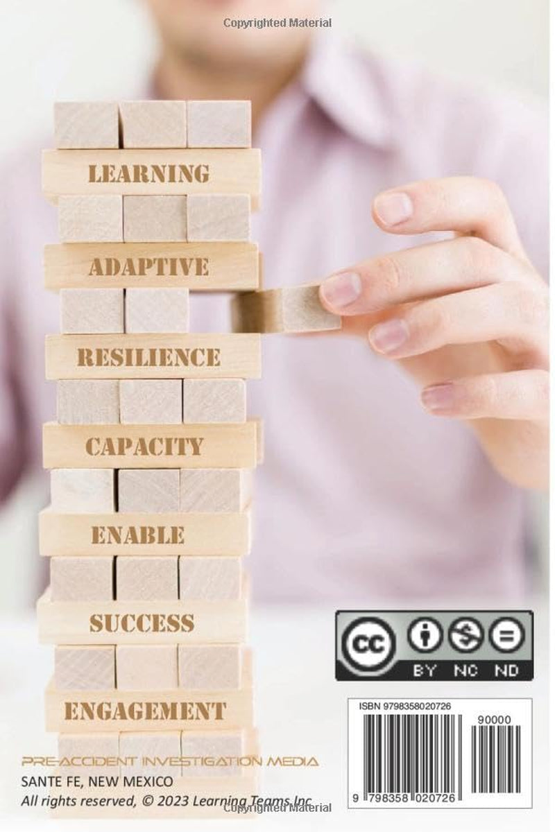 4Ds for HOP and Learning Teams: A practical how-to guide to facilitate learning from everyday work, critical and dynamic risks with the 4Ds.