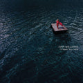 I'll Meet You Here [LP]