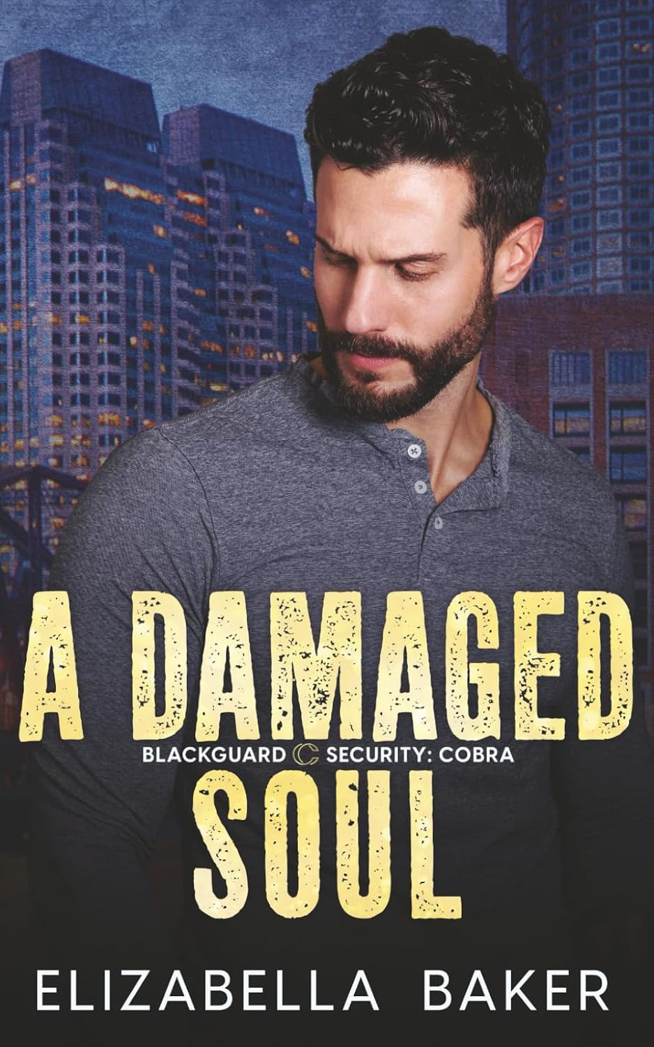 A Damaged Soul (Blackguard Security- Cobra)