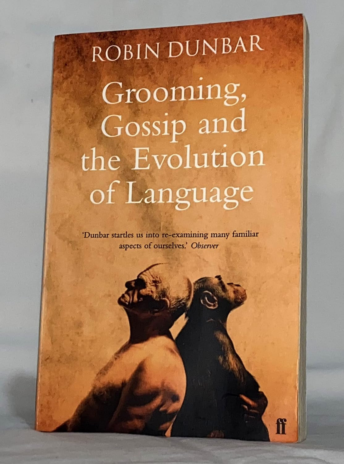 Grooming, Gossip, and the Evolution of Language