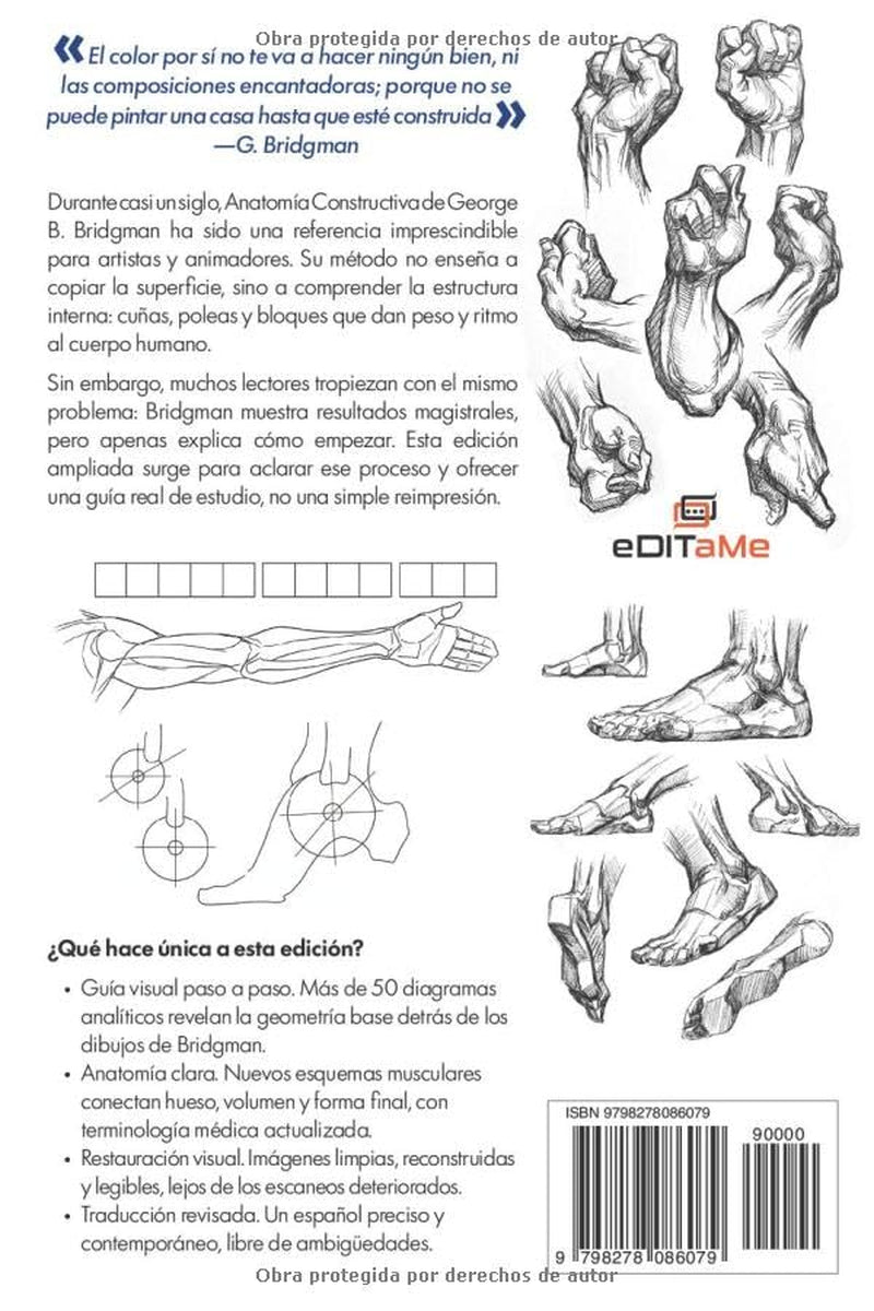 Anatomía Constructiva. Revisada y Enriquecida (Bridgman: Manuales de Dibujo Constructivo) (Spanish Edition)