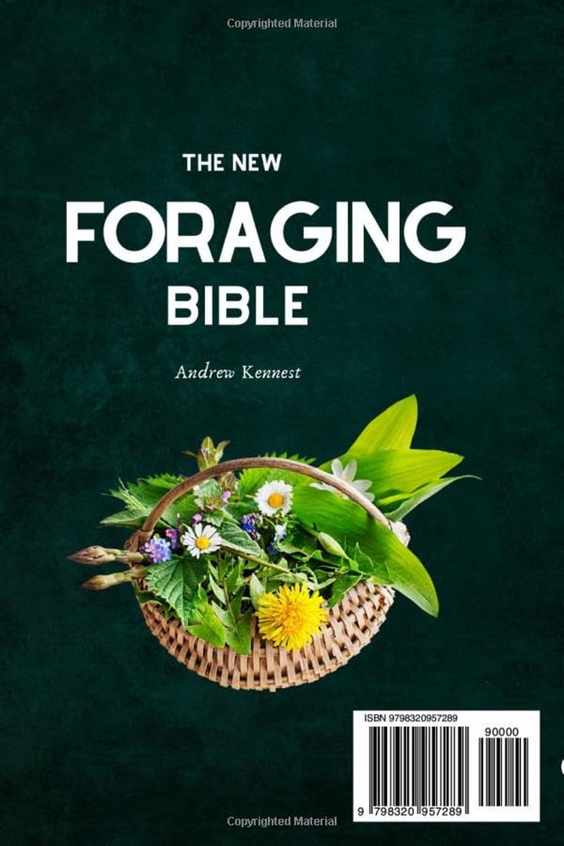 The New Foraging Bible for Beginners: Step into Nature and Unearth Untapped Flavors with the Ultimate Field Guide to Locate, Identify, and Prepare Healthy and Delicious Edible Wild Plants