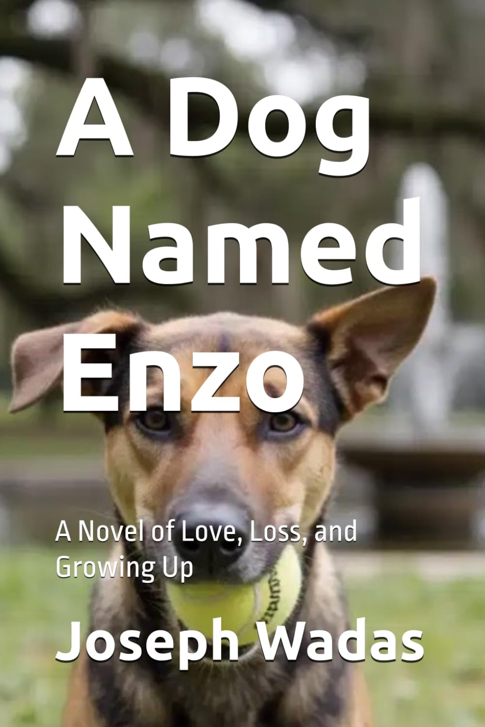 A Dog Named Enzo: A Novel of Love, Loss, and Growing Up