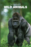 The Photo Book Of Wild Animals: Beautiful Photographs of Wild Animals for people suffering with Alzheimer’s or other forms of dementia