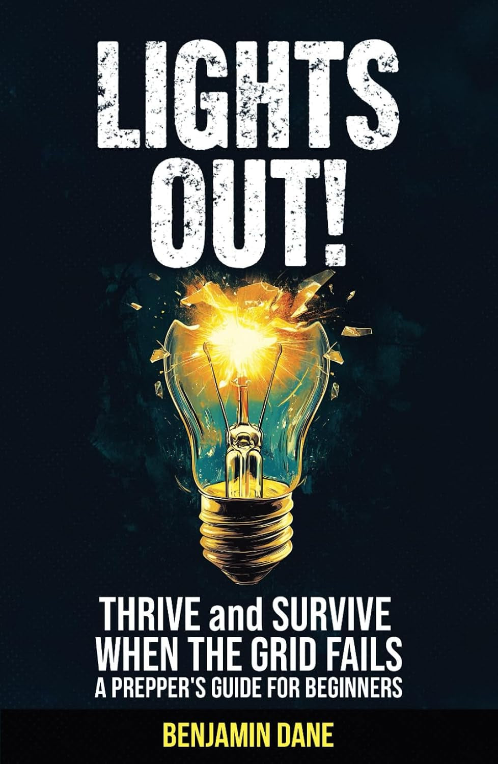 Lights Out!: Thrive and Survive When The Grid Fails—A Prepper's Guide For Beginners