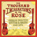 Thousand Incarnations Of The Rose: American Primitive Guitar & Banjo 1963-1974