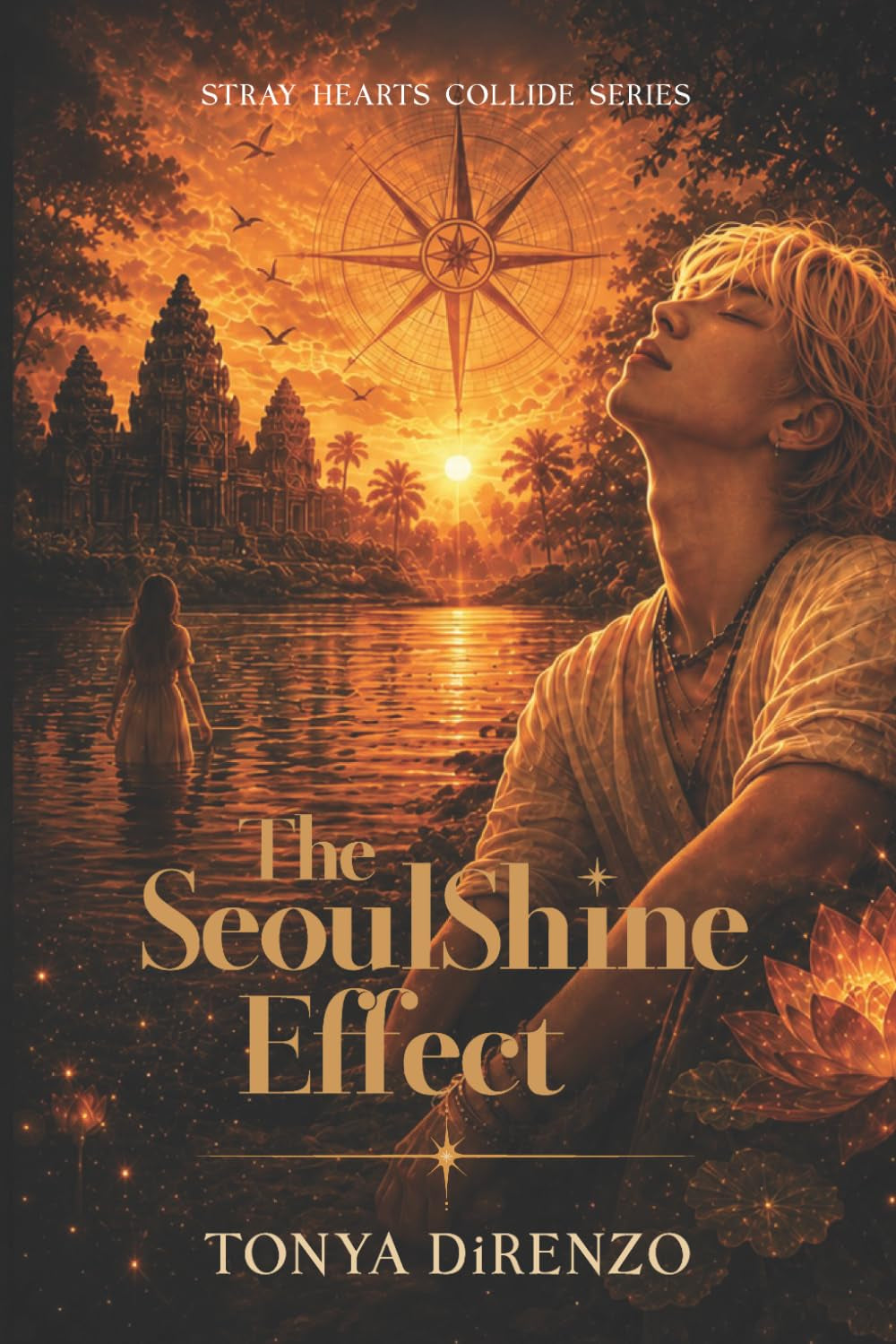 The SeoulShine Effect (Stray Hearts Collide)