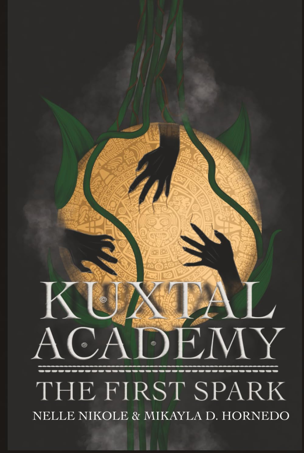 Kuxtal Academy: The First Spark
