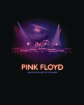 Pink Floyd - Delicate Sound Of Thunder [Restored, Re-edited, Remixed] Blu-ray