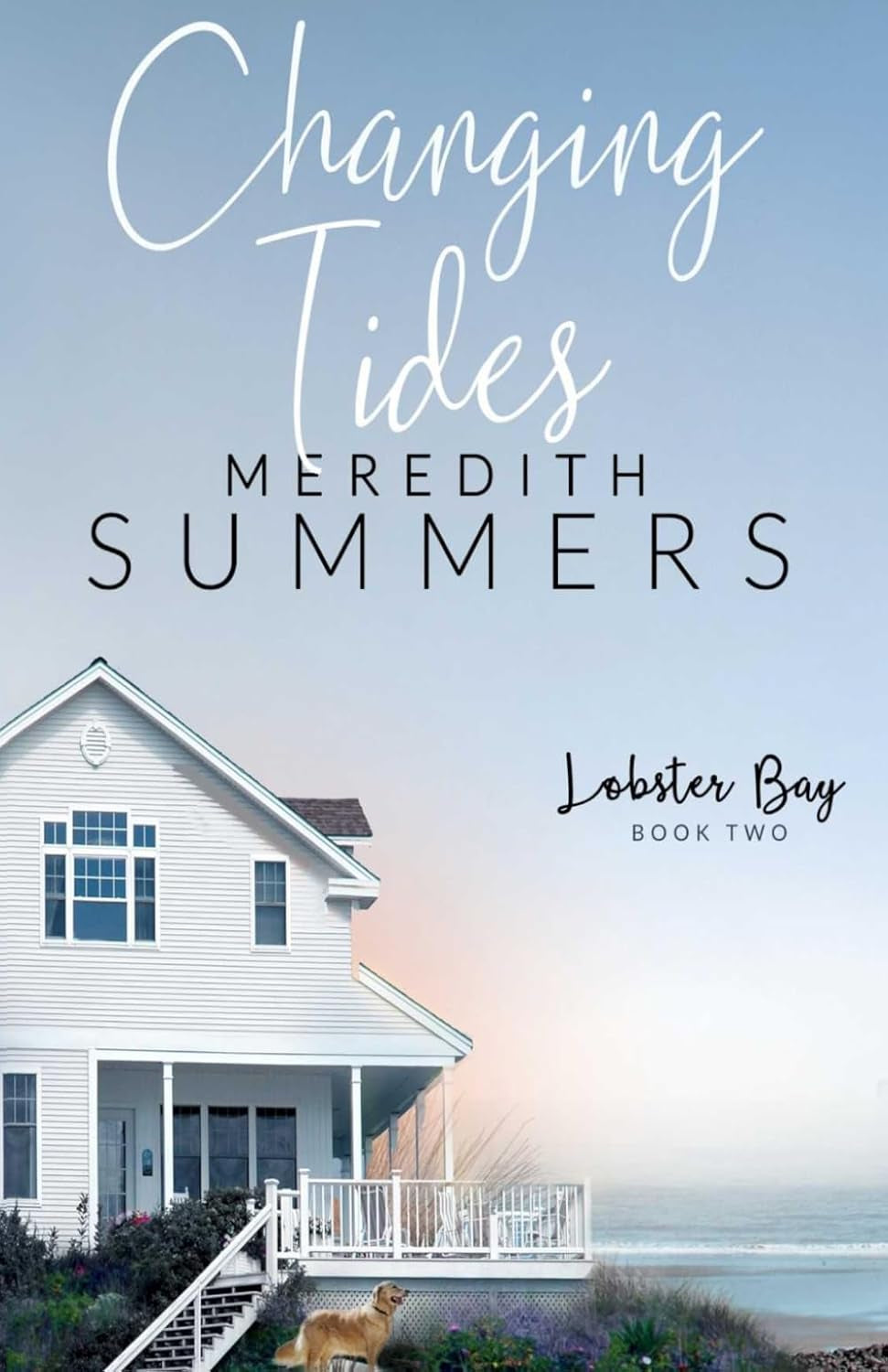 Changing Tides (Meredith Summers Large Print Collection)