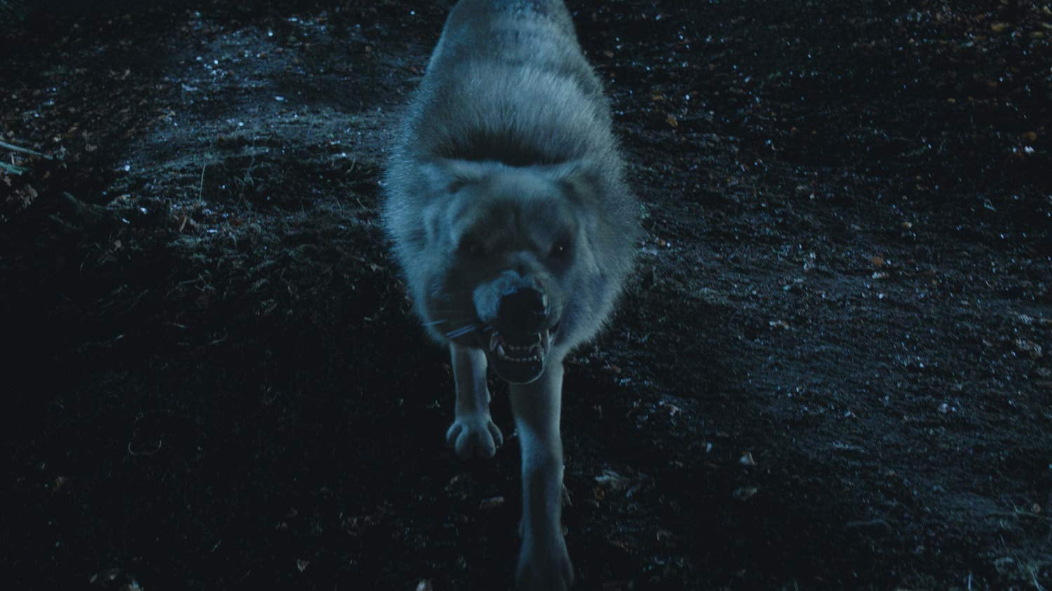 Wolfblood: Season 5