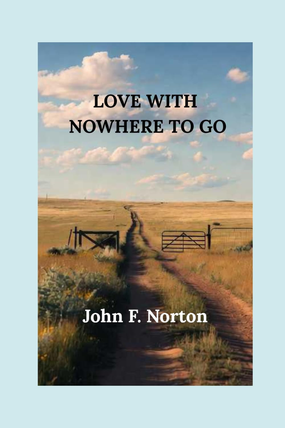 Love With Nowhere to Go