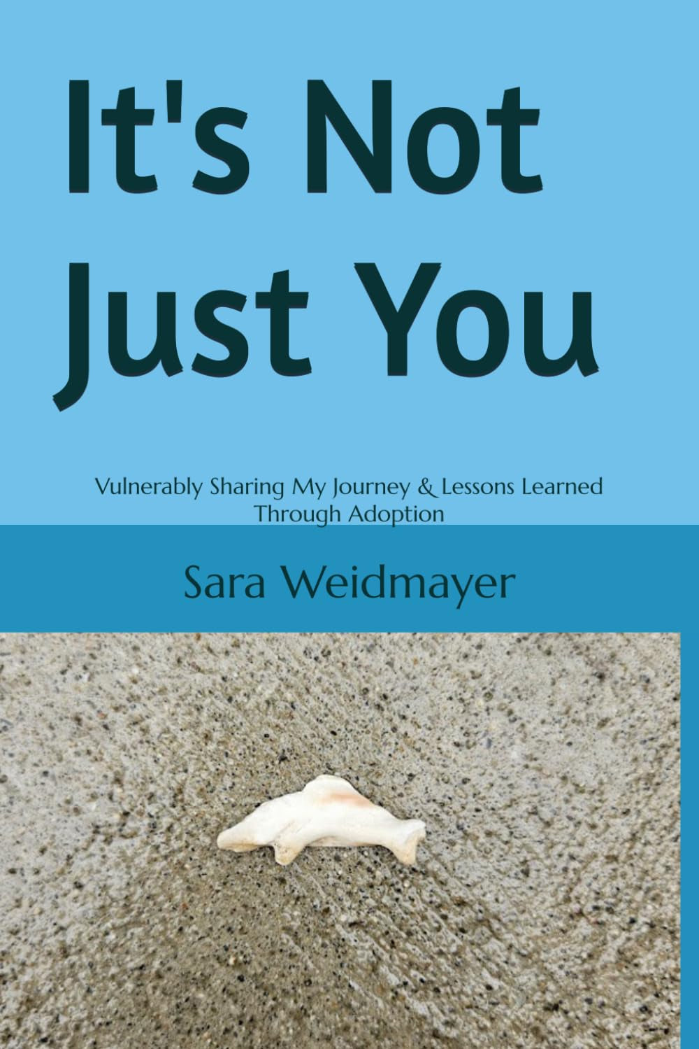 It's Not Just You: Vulnerably Sharing My Journey & Lessons Learned Through Adoption