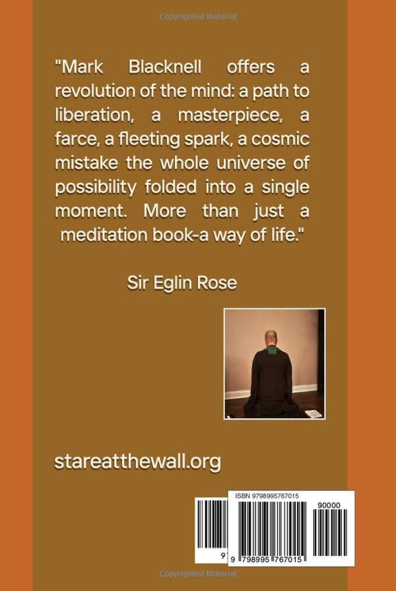 JUST STARE AT THE WALL!: Living the Universe from Where You Sit