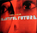 Beautiful Future