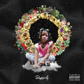 Laila's Wisdom Explicit Lyrics