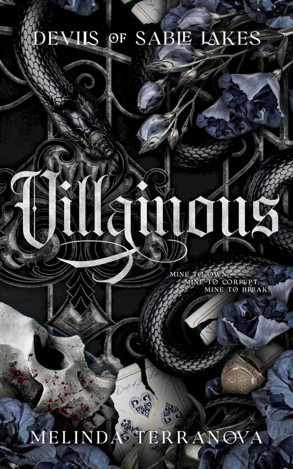 Villainous: Devils of Sable Lakes