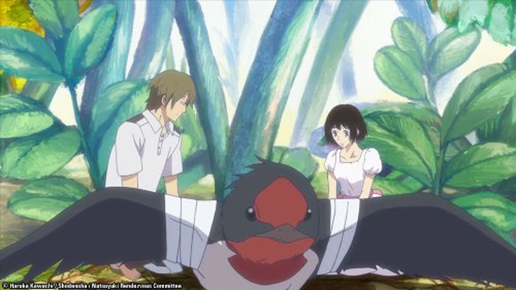 Natsuyuki Rendezvous: Complete Collection
