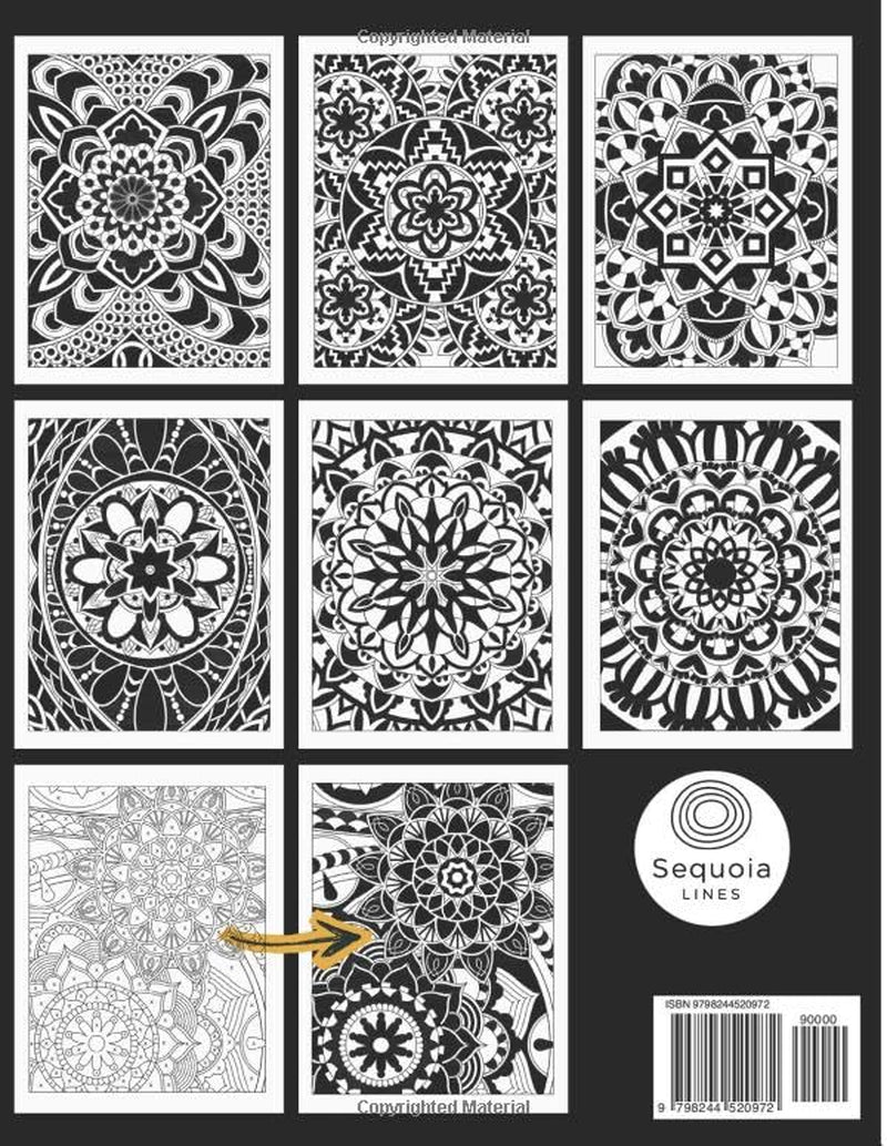 Monochrome Coloring Book: Guided Black & White Patterns for Calm and Focus