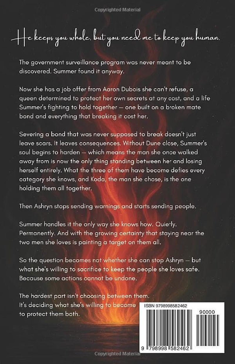A Heart of Stone (The Heartforged Destinies)