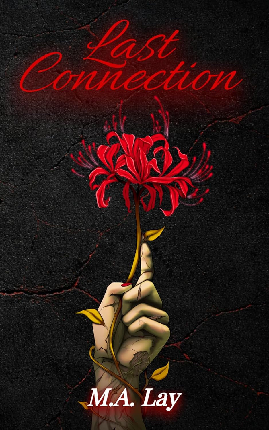 Last Connection