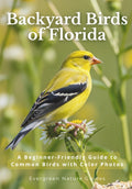 Backyard Birds of Florida: A Beginner-Friendly Guide to Common Birds with Color Photos