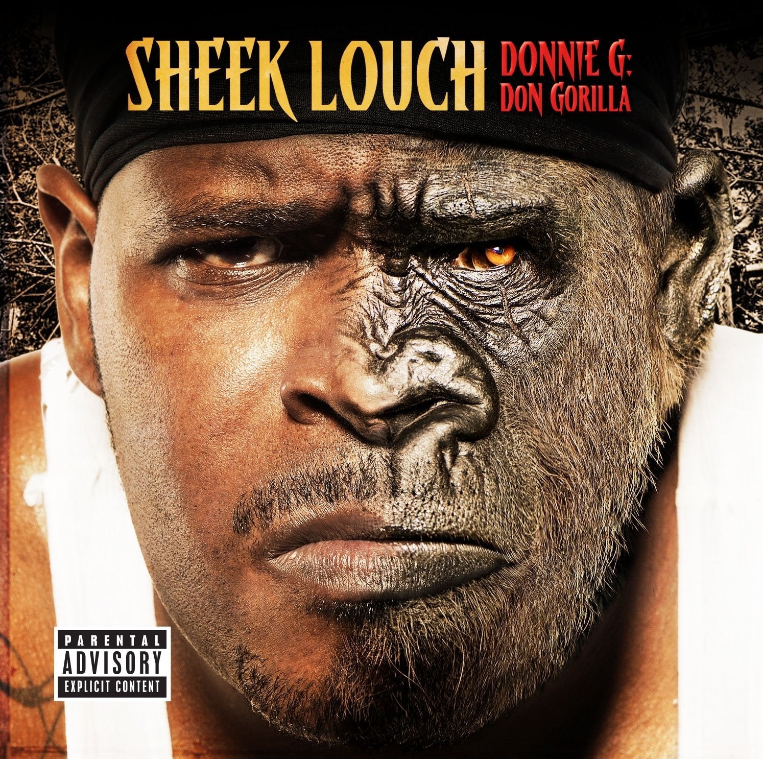 Donnie G: Don Gorilla Explicit Lyrics