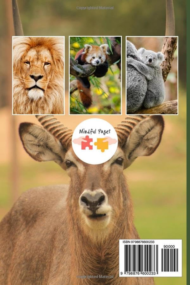 The Photo Book Of Wild Animals: Beautiful Photographs of Wild Animals for people suffering with Alzheimer’s or other forms of dementia