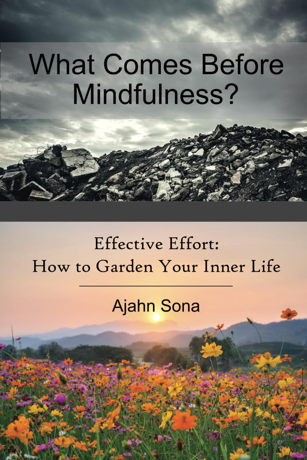 What Comes Before Mindfulness?: Effective Effort: How to Garden Your Inner Life