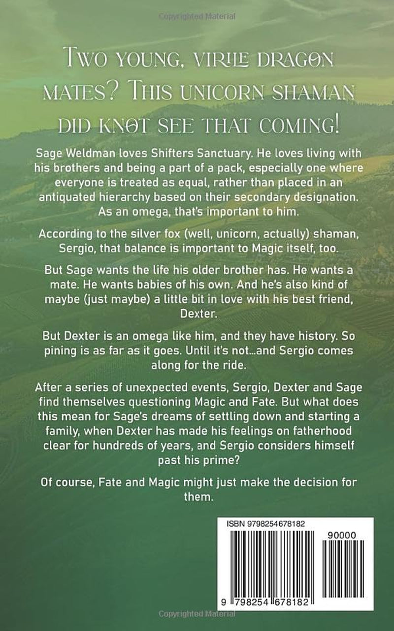 His Dragon Duo: An MMM Omegaverse Mpreg Romance (Shifters Sanctuary)