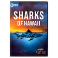 Nature: Sharks Of Hawaii