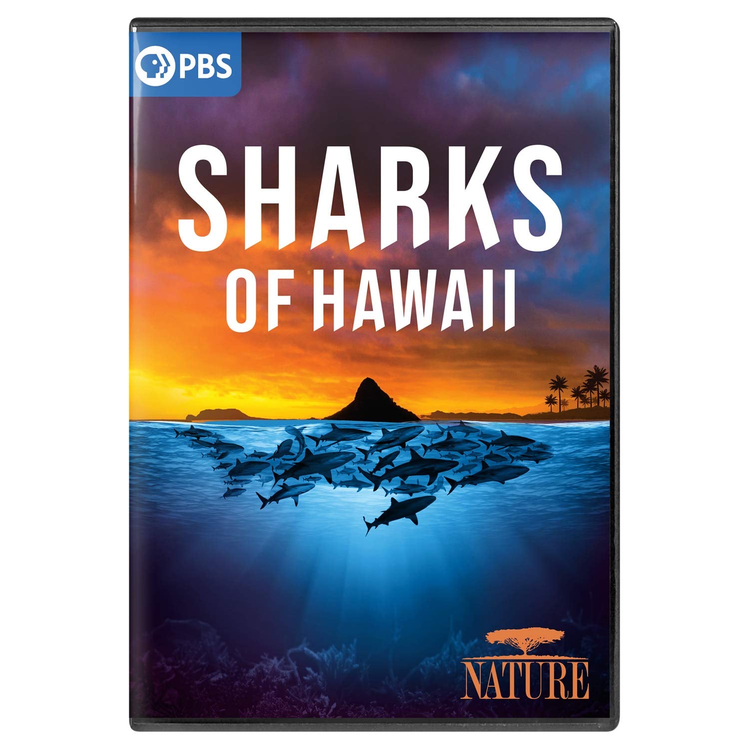 Nature: Sharks Of Hawaii