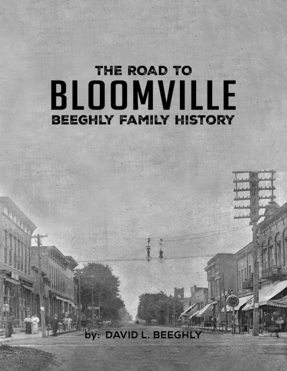 The Road To Bloomville: Beeghly Family History