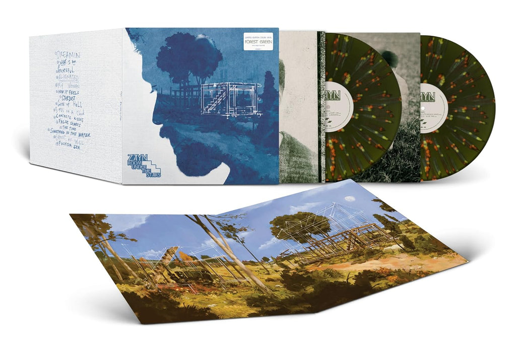 ROOM UNDER THE STAIRS [Forest Green/Neon Splatter 2 LP]