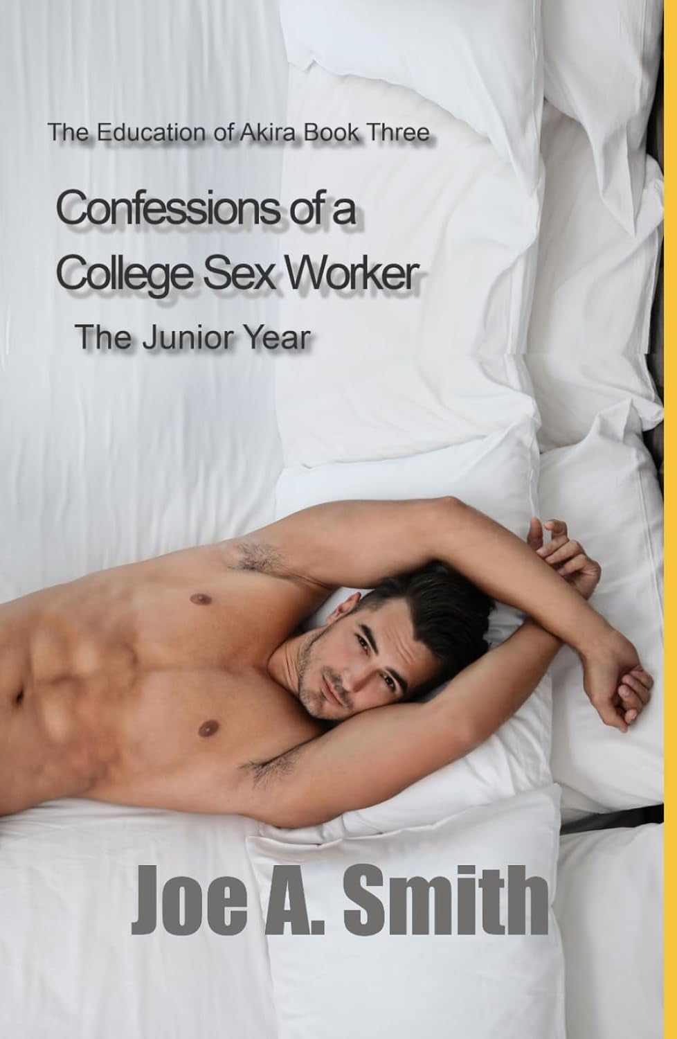 Confessions of a College Sex Worker—the Junior Year: The Education of Akira Book 3