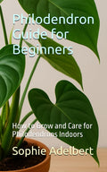 Philodendron Guide for Beginners: How to Grow and Care for Philodendrons Indoors