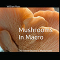 Mushrooms In Macro: The Silent Beauty of Mushrooms