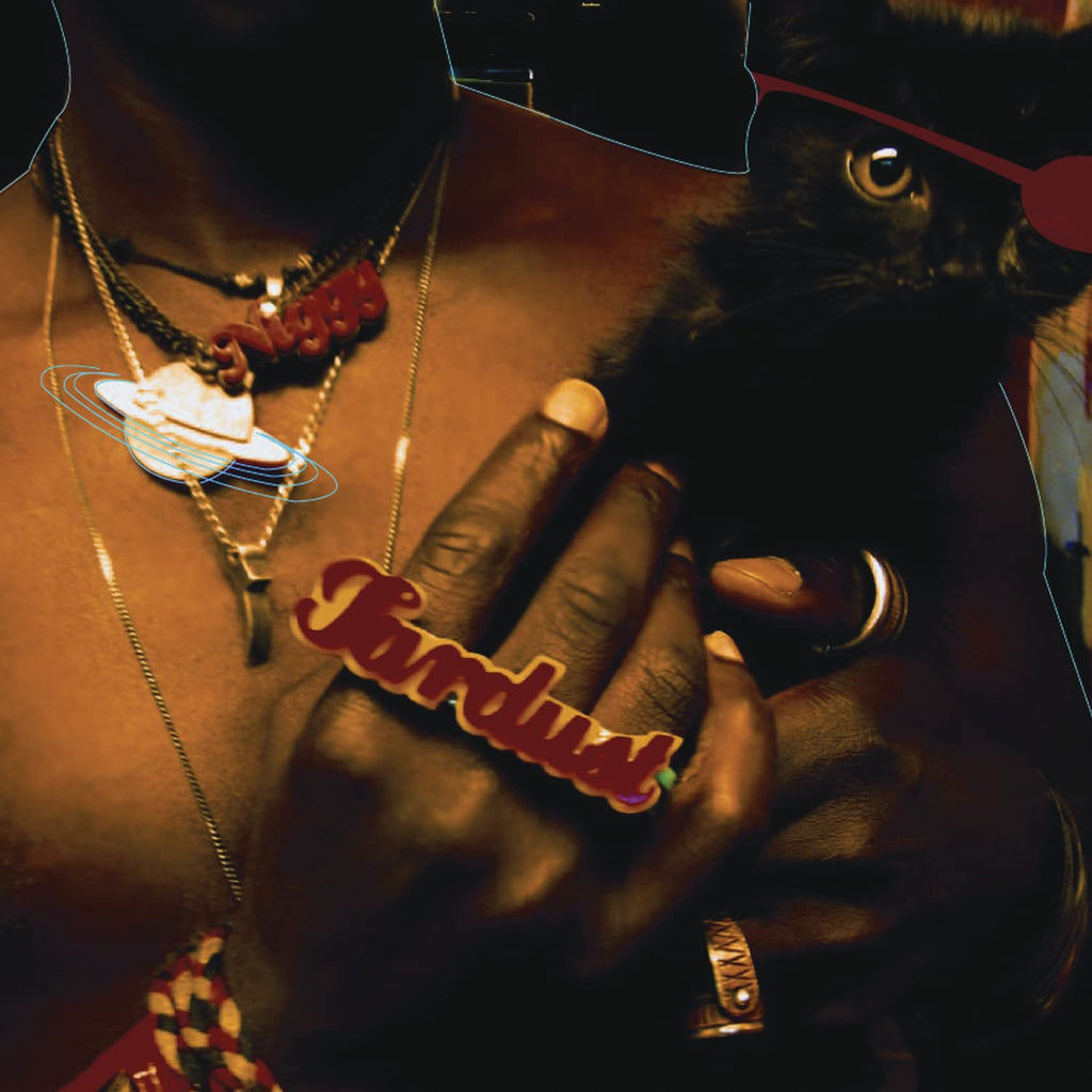 The Inevitable Rise and Liberation Of Niggy Tardust Explicit Lyrics