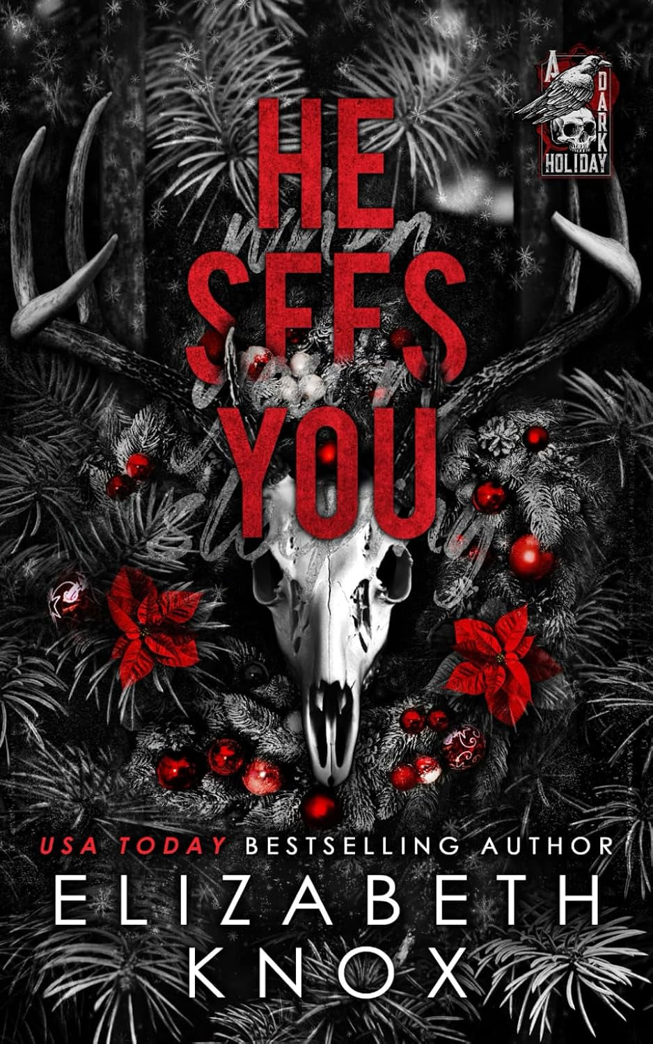 He Sees You: A Dark Christmas Romance (A Dark Holiday)