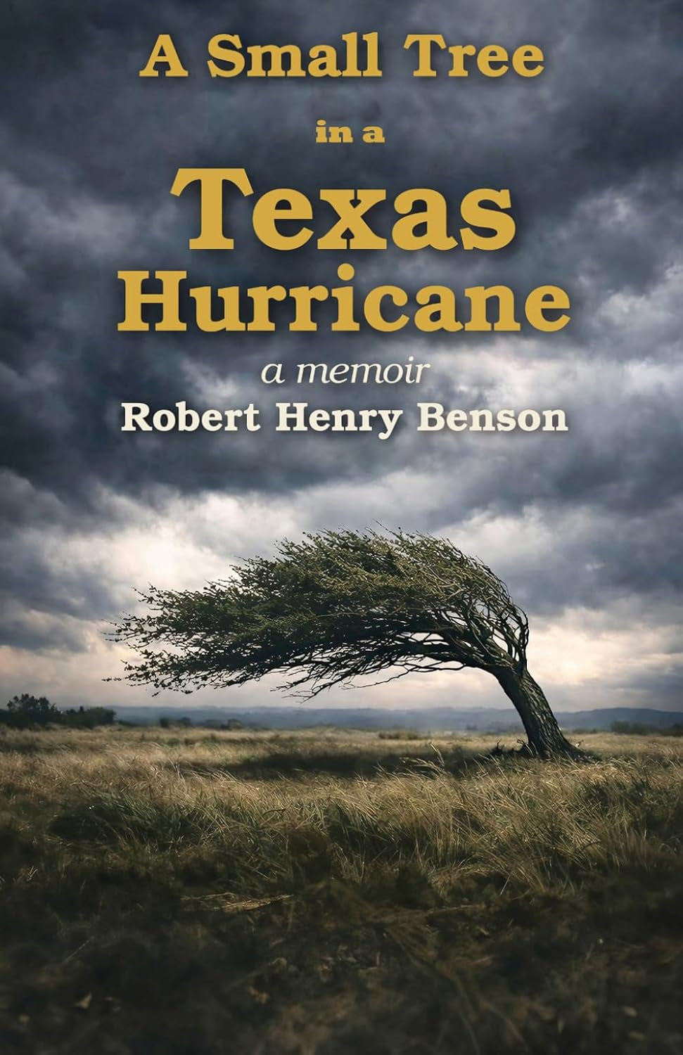 A Small Tree in a Texas Hurricane: A Memoir