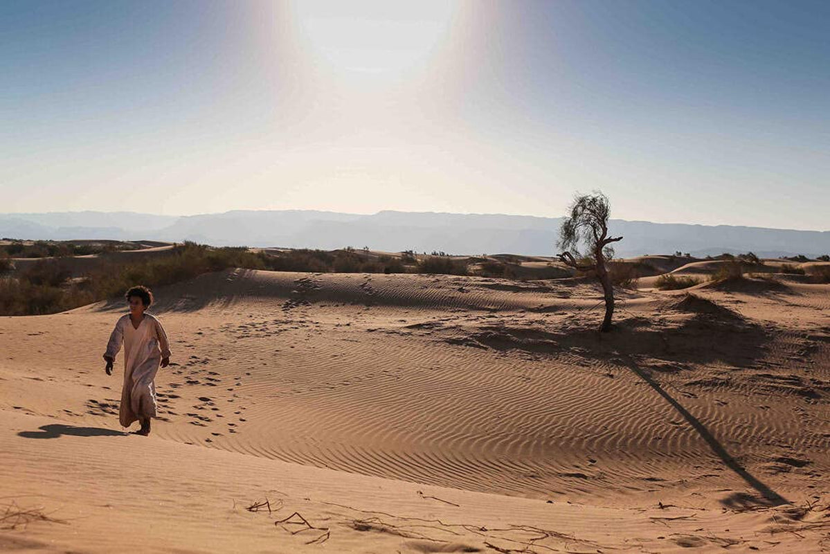 Theeb