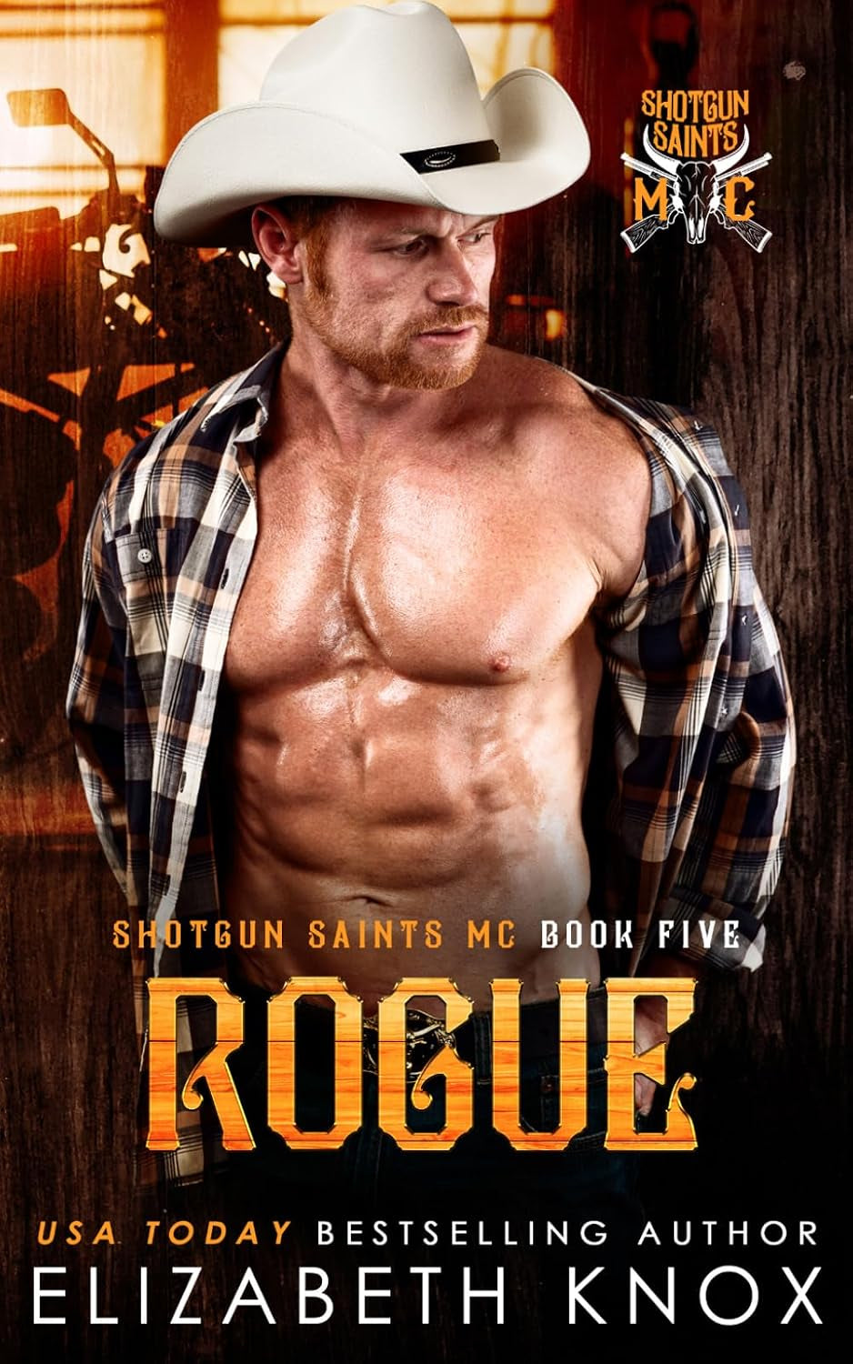 Rogue (Shotgun Saints MC)