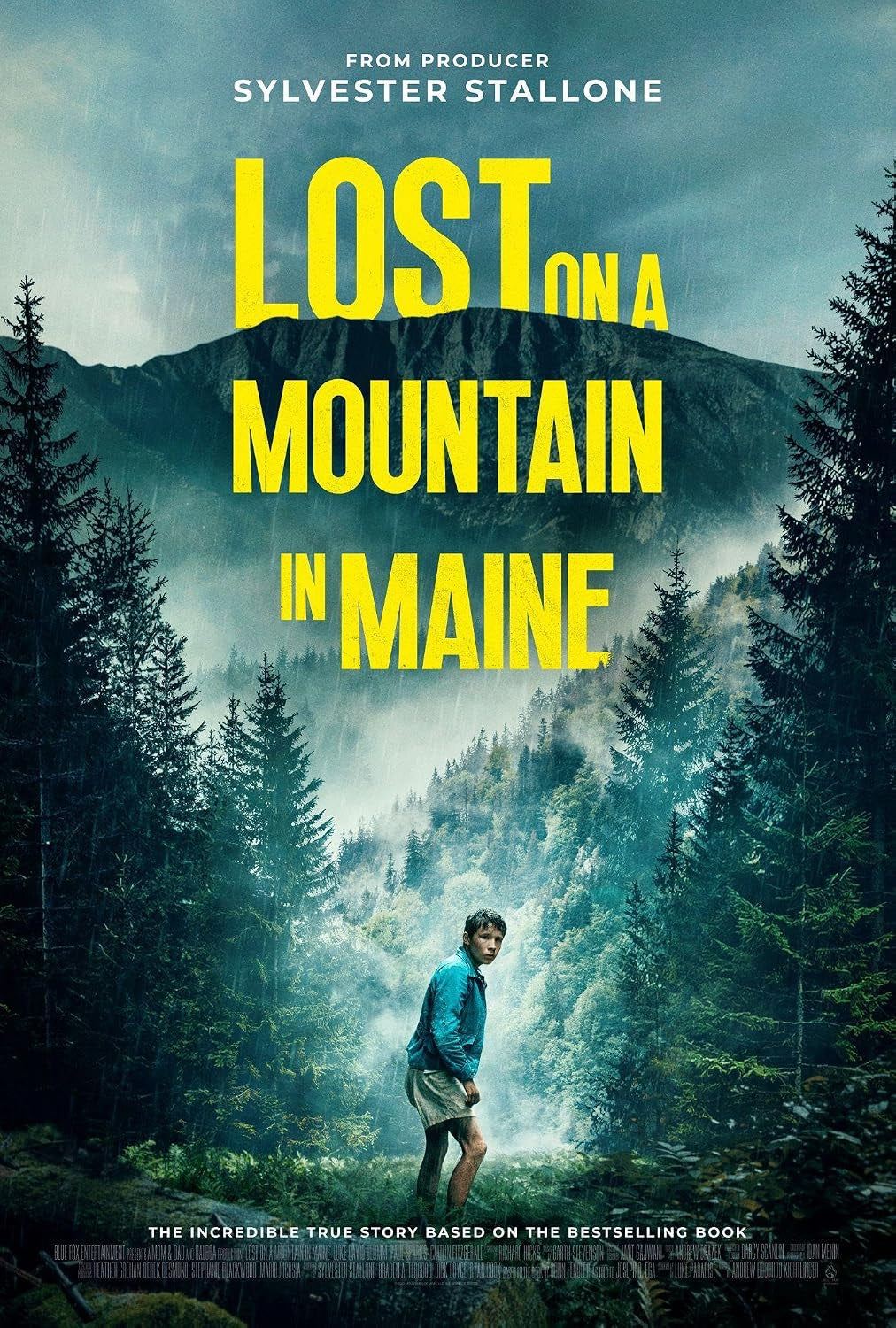 Lost on a Mountain in Maine