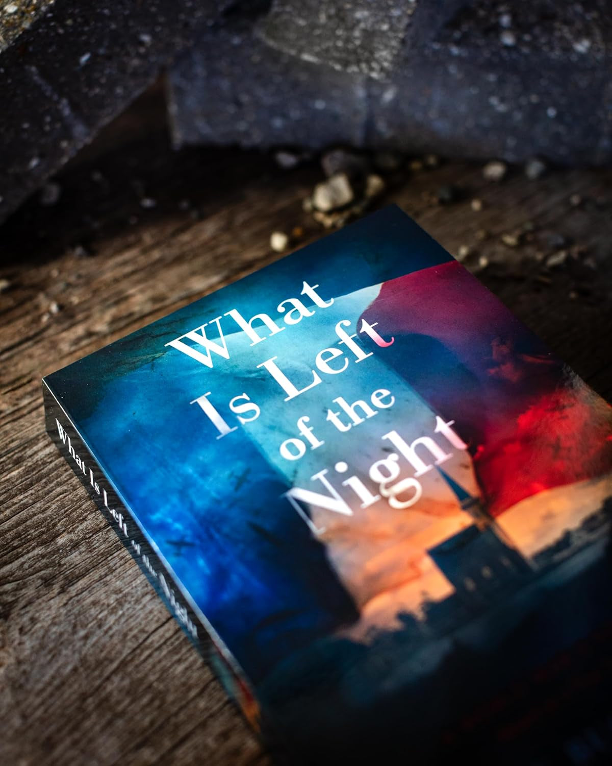 What Is Left of the Night: A World War II Novel