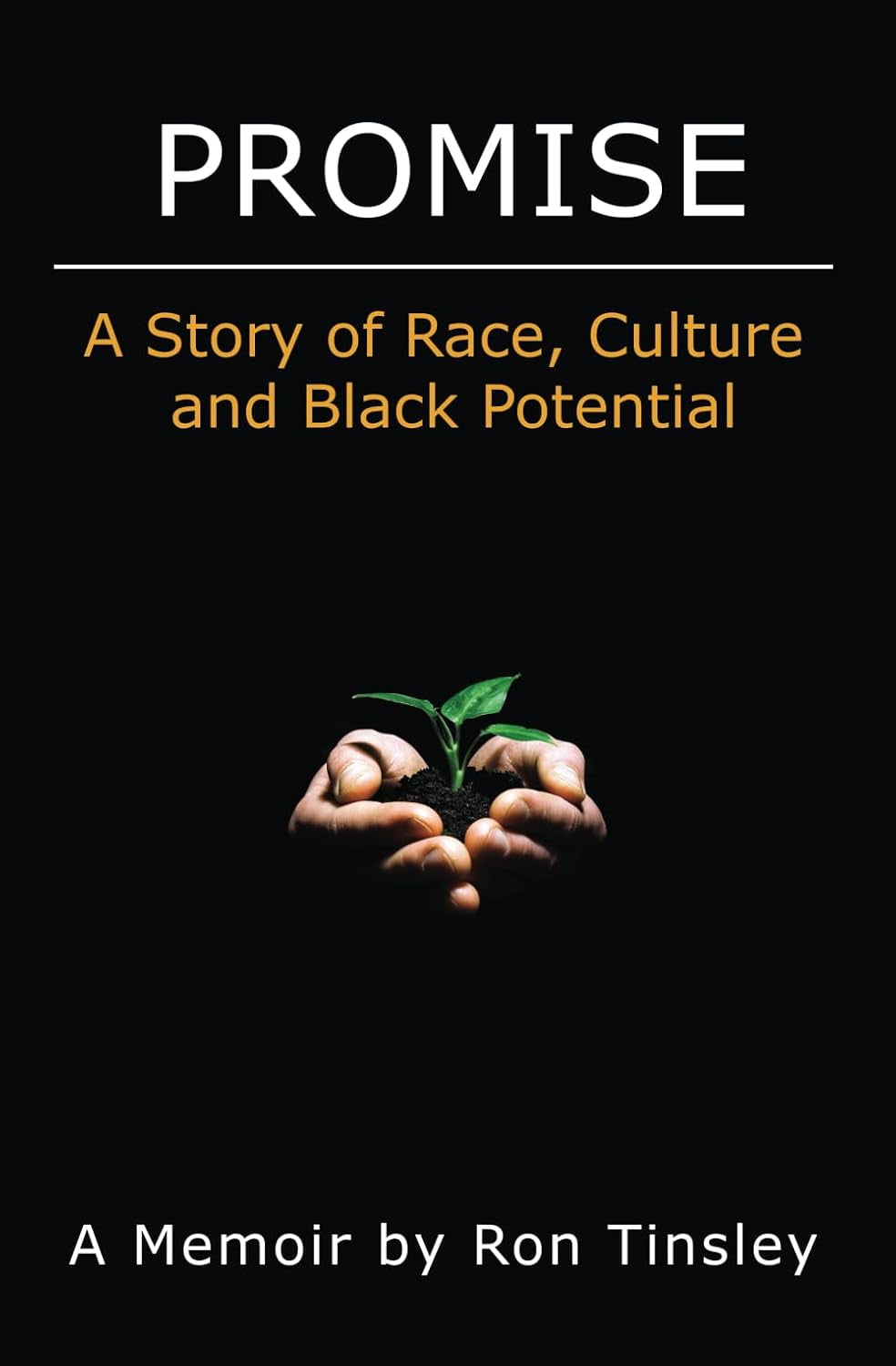 Promise: A Story of Race, Culture and Black Potential